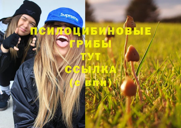 MESCALINE Осинники