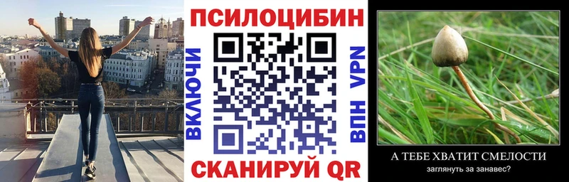 Псилоцибиновые грибы Psilocybe MEGA нарко площадка состав Кемь