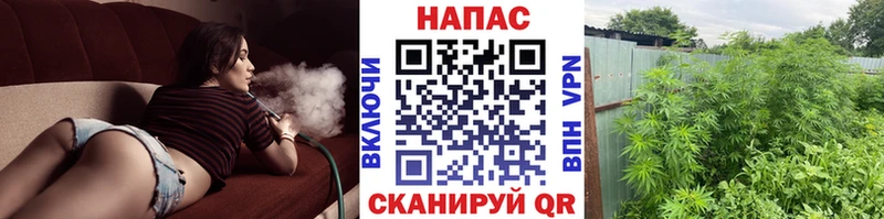 МЕГА как войти  Кемь  Бошки Шишки Bruce Banner 